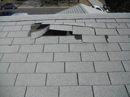 How Often Should You Have Your Roof Inspected?