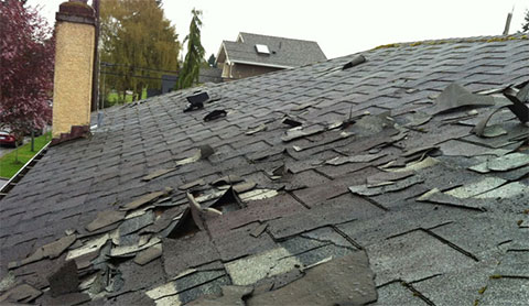 Roof Repairs in Adel