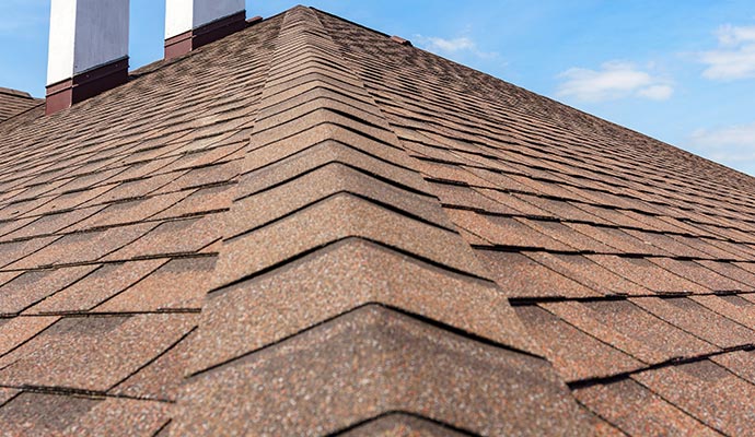 Professional roofing service