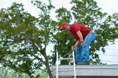 Springtime Tips for Maintaining Your Roof