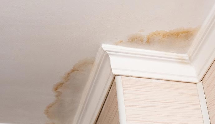 Repair Dark Water Spot on Ceiling in Des Moines & Ames